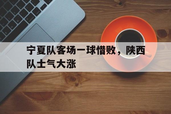 开云APP-宁夏队客场一球惜败，陕西队士气大涨的简单介绍