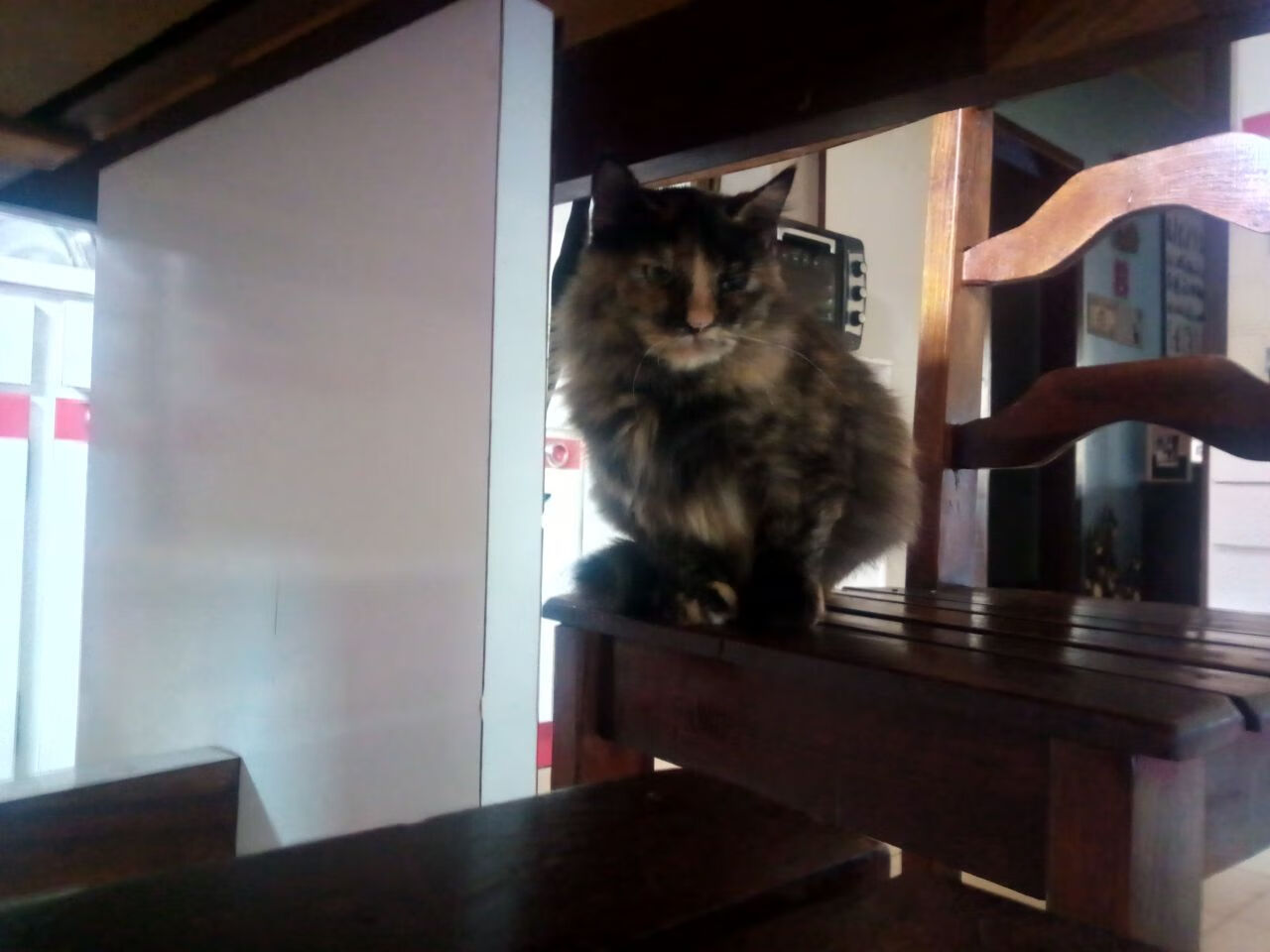 开云官网-绿茵场上的防守方程式，中国队的铁血锁链与阿什拉夫的赛道统治力